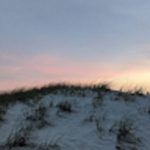 Meet your Posher, Gracie